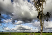 霍芬海姆客场告捷，积分榜排名上升