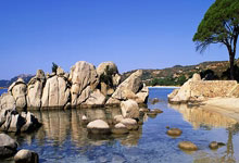 霍芬海姆客场告捷，积分榜排名上升