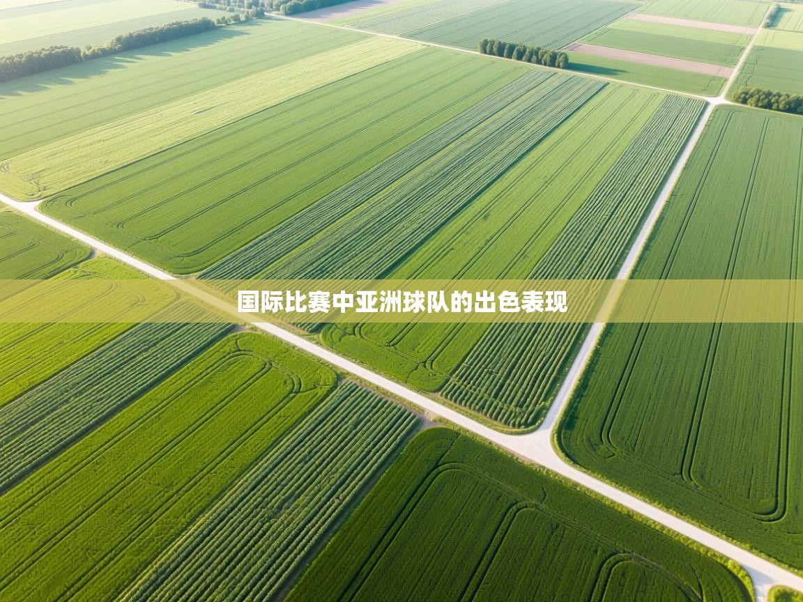 国际比赛中亚洲球队的出色表现  第2张